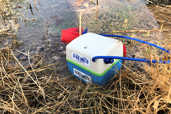SmartSolo igu-16 node seismic sensor in swamp areas.png